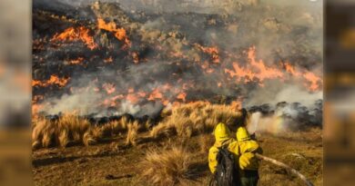 Condenaron a un hombre por provocar un incendio forestal en Córdoba