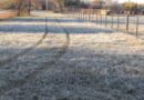 Alerta hoy por frío extremo y bajas temperaturas en todo el país: las recomendaciones