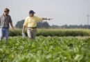 Cae un 19% la confianza del campo sobre el futuro del sector y vuelve a encenderse la luz de alerta en las inversiones