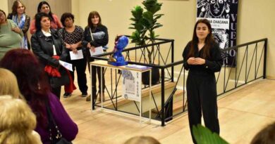 Muestra de arte visual “El Vuelo” en el Centro Cultural “Sixto Palavecino” de Fernández
