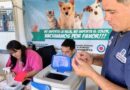 Se realizó un operativo de vacunación antirrábica y desparasitación canina y felina en Fernández