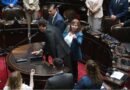 Selfies, chicanas y un grito de “andá a bañarte”: lo que no se vio de la jura en la Cámara de Diputados