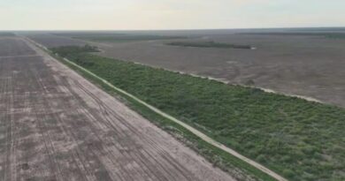 Fallo Judicial contra las denuncias falsas: nueva cautelar a favor de Toviggino por acusaciones de ruralistas