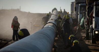 “Frankenstein” Rocca vs Milei: El Gobierno no cede en la disputa con Techint y el conflicto por la licitación en Vaca Muerta tiene final incierto