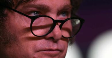 Tras el revés judicial, el Gobierno reglamentó la Ley de Emergencia en Discapacidad