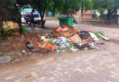 La Comuna de Fernández actuó sobre el accionar desaprensivo de un vecino