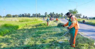 Trabajos de desmalezamiento en rotonda de rutas 9 y 64