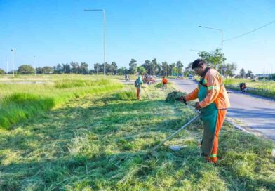 Trabajos de desmalezamiento en rotonda de rutas 9 y 64