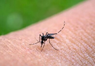 Tres nuevos casos de Chikungunya en Santiago del Estero