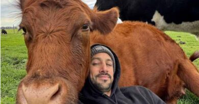 “Necesito toda la plata”: los chats entre el influencer rural que denunció el robo de animales y el principal imputado