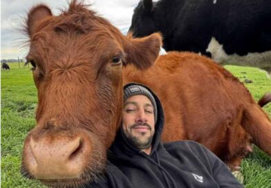 “Necesito toda la plata”: los chats entre el influencer rural que denunció el robo de animales y el principal imputado