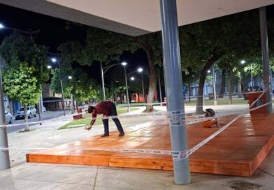 Refacciones en el Paseo Alvear