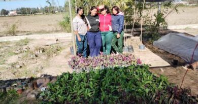 Más árboles para la ciudad de Fernández