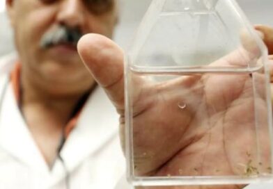 Reportan aparición de un caso de chikungunya en Santiago capital