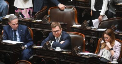 Presentaron un proyecto para que un niño pueda ser adoptado por su familia de tránsito si lleva más de un año bajo su cuidado