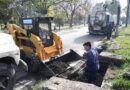 La Municipalidad trabajó en la limpieza y mantenimiento de más de 60 cámaras pluviales La Municipalidad trabajó en la limpieza y mantenimiento de más de 60 cámaras pluviales