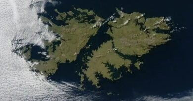 Malvinas: quiénes son las 45 empresas y personas que el Gobierno sancionará, entre ellas Navitas y Rockhopper
