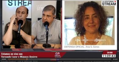 Dra. Gerez: “cuatro perejiles encerrados, y el niño todavía lejos de Santiago”