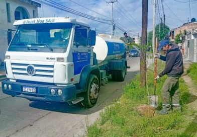 La Municipalidad comenzó la plantación de más de 3.600 árboles en el barrio Primera Junta