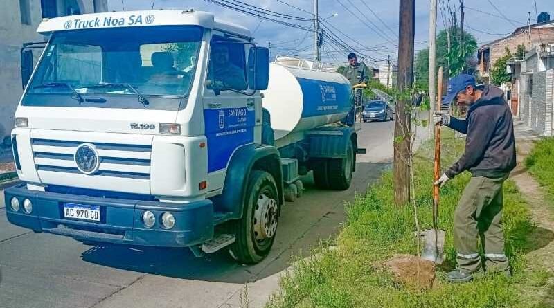La Municipalidad comenzó la plantación de más de 3.600 árboles en el barrio Primera Junta