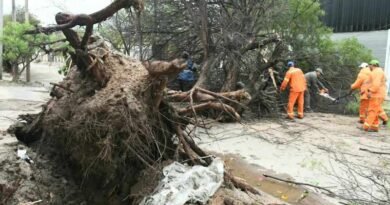 El Comité de Emergencia de la Municipalidad despliega un amplio operativo desde la madrugada